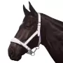 Norton - Draught Horse