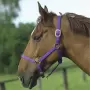 Norton - Leather Lined pony