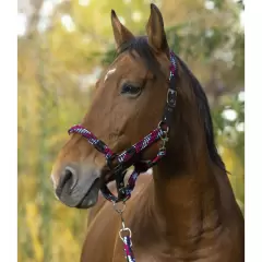 Equithéme - Braid pony
