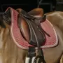 Equithéme - Softy spring pony