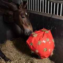 Imperial Riding - Hay Fun Apple
