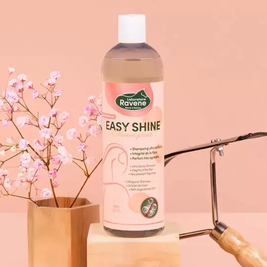 Ravene - Easy Shine Shampoo