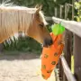 Imperial Riding - Hay Fun Carrot høpose