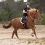 Imperial Riding - Free Ride sadelpude