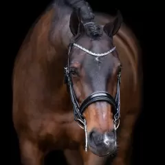 Imperial Riding - Tilbud - Olympia Black/Silver str. Pony