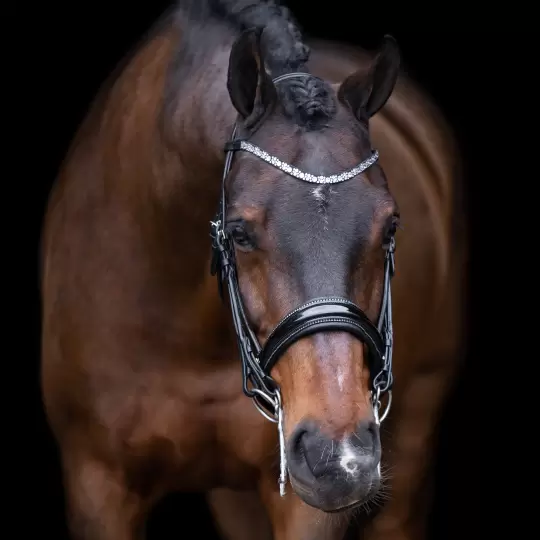 Imperial Riding - Tilbud - Olympia Black/Silver str. Pony